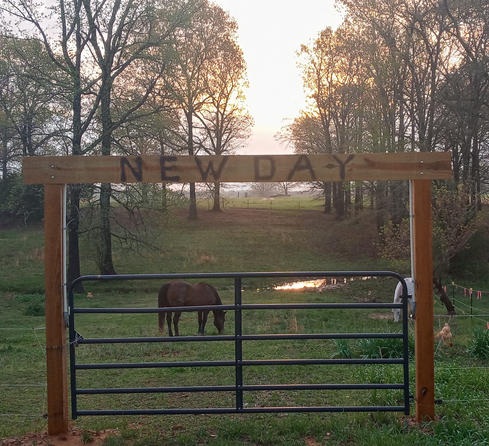 NewDayAcres